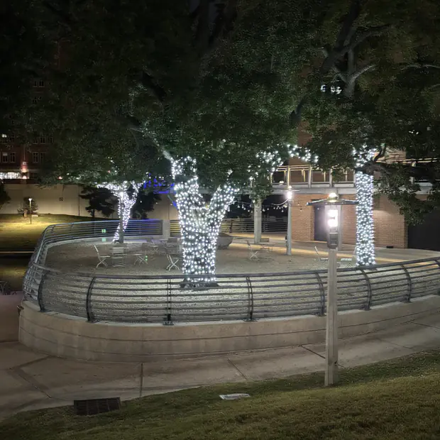 Water feature and surrounding trees lit at night