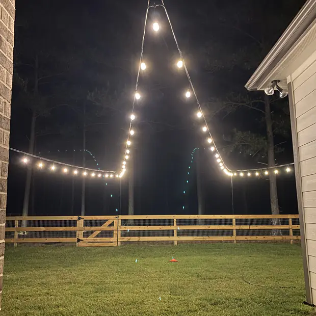 Warm string lights under a mature oak canopy