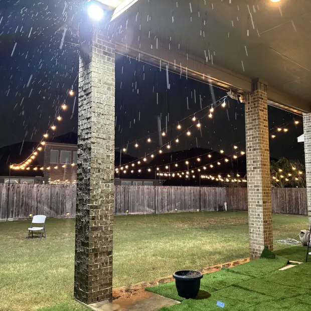 Rear garden with string lighting and uplit trees