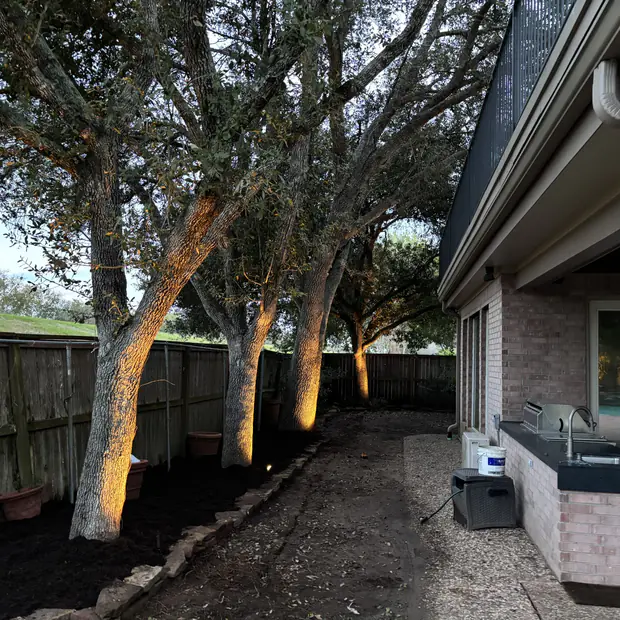 Row of trees uplit along a fence line beside a covered patio