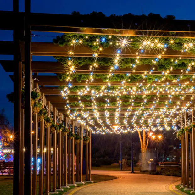 Pergola walkway hung with warm string lights at blue hour
