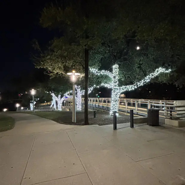 Driveway and specimen tree lit with low-voltage uplighting