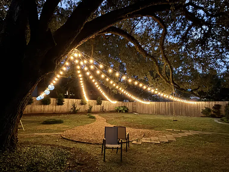 Warm bistro string lights under a large oak tree